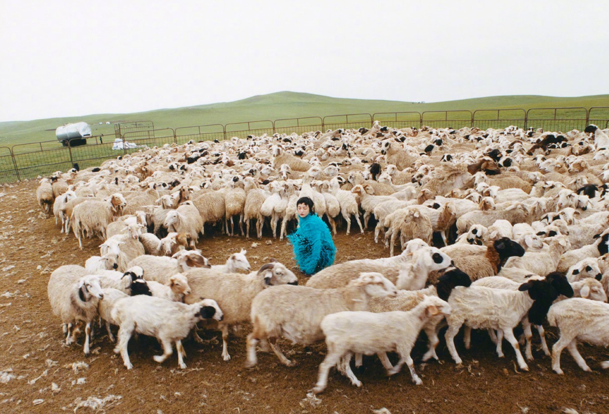 郭采洁有多喜欢羊和草原最新游牧大片  第13张