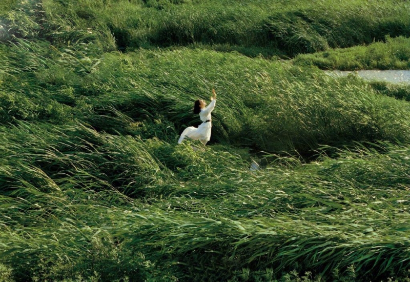 文淇置身田野好似夏日精灵写真  第4张