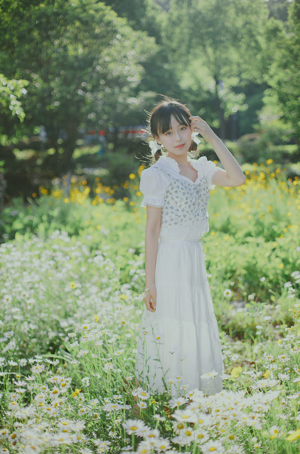 初夏の小雏菊Ⅱ  第6张