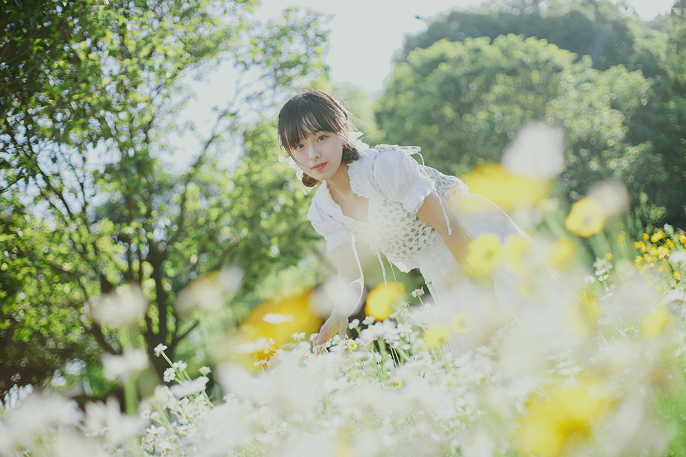 初夏の小雏菊Ⅱ  第12张