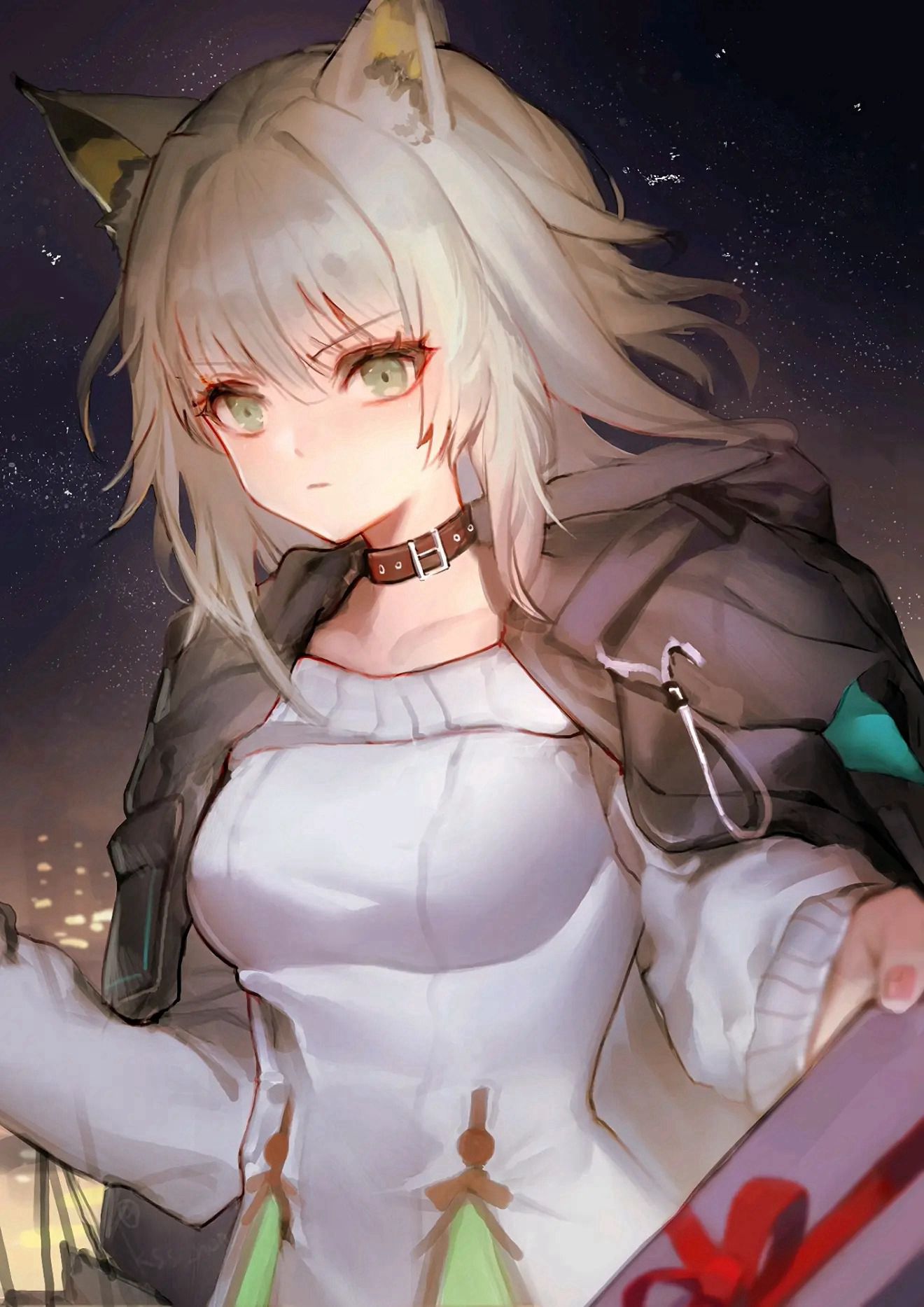 《明日方舟》动漫美图特辑，酷美十足好康的明日方舟动漫少女美图  第1张