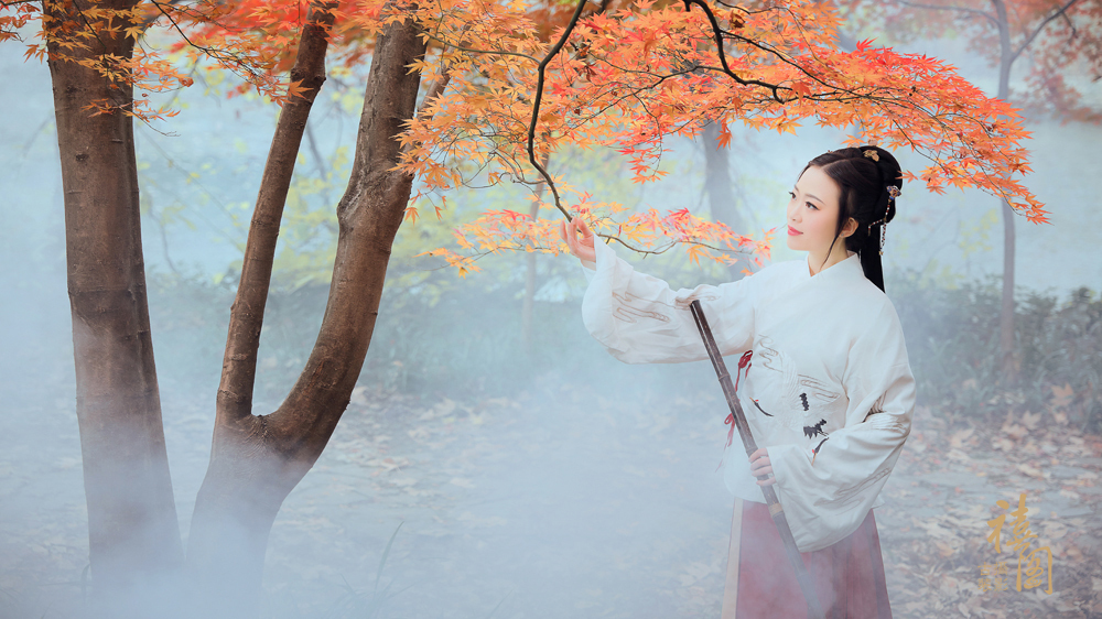 古韵古风：一声梧叶一声秋，一点芭蕉一点愁  赏沉鱼落雁,观闭月羞花 第2张