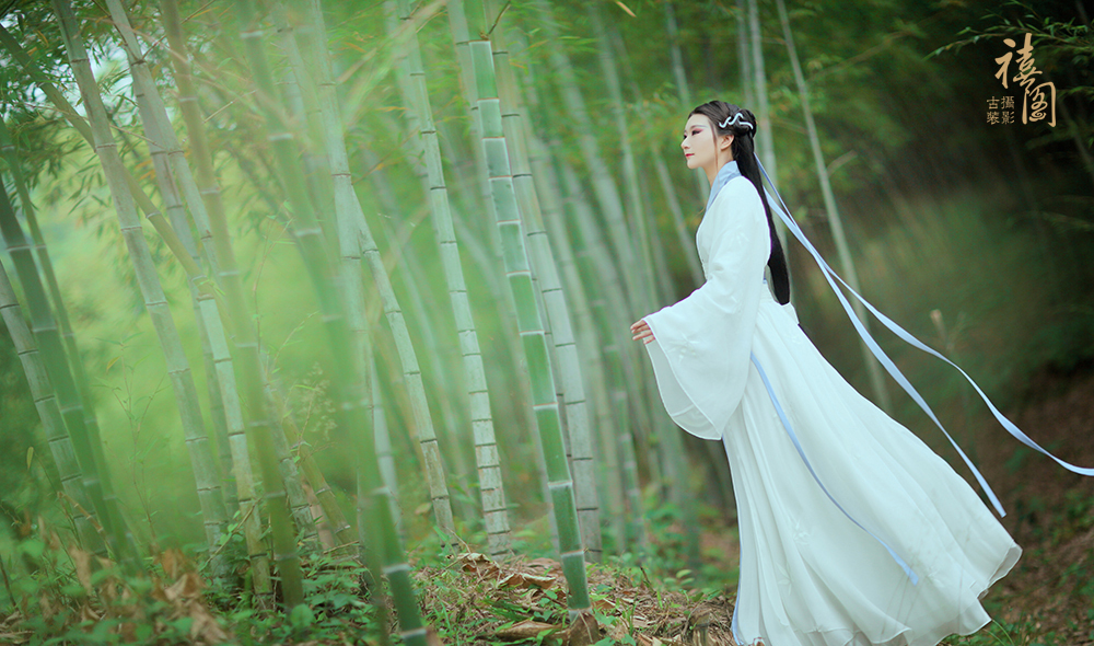 古韵古风：空山新雨后，天气晚来秋  赏沉鱼落雁,观闭月羞花 第6张