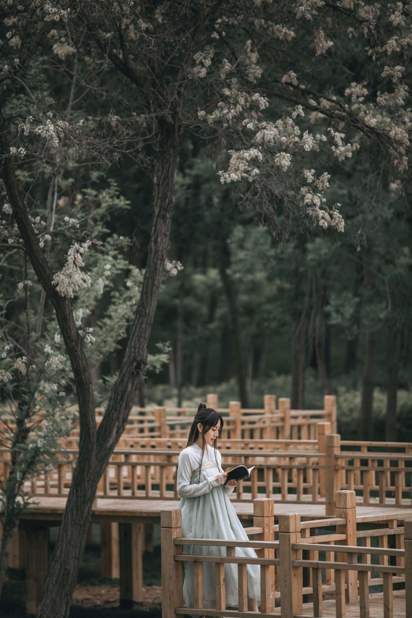 古韵古风：古风写真客片  赏沉鱼落雁,观闭月羞花 第5张