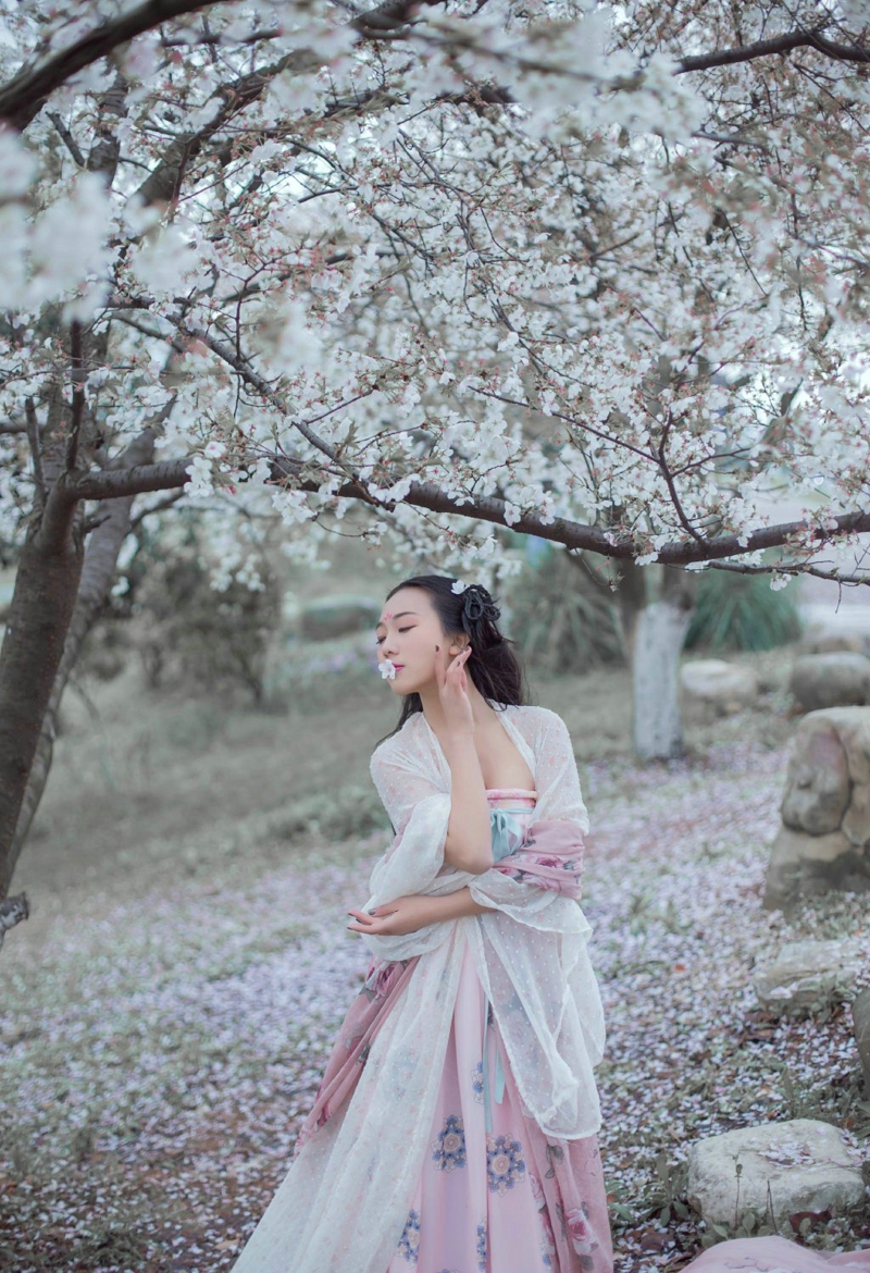樱花树下的明艳古装美女温婉恬静  第4张