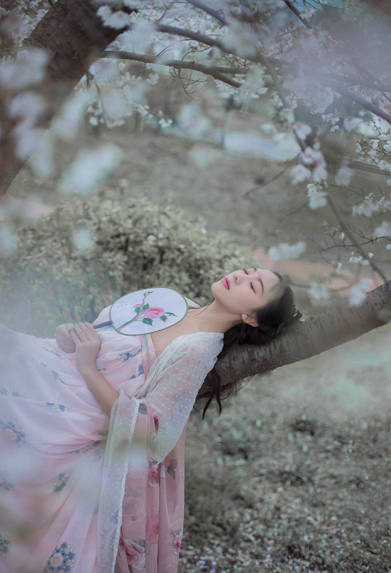 樱花树下的明艳古装美女温婉恬静  第7张