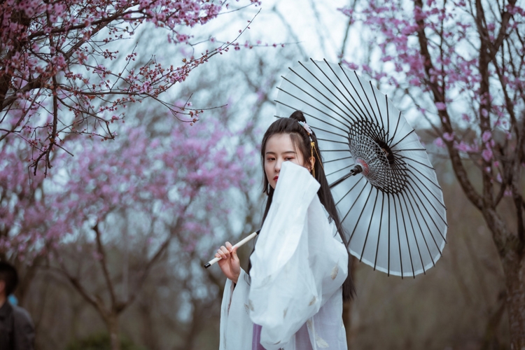 赏花街偶遇古装美女唯美梦幻小清新图片  第6张