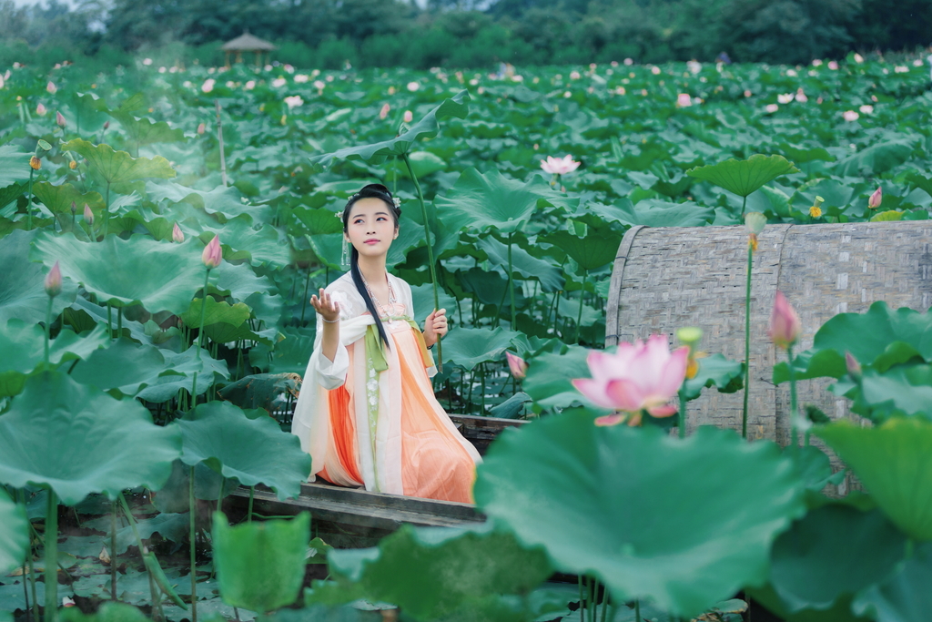 高清古装美女及腰长发婀娜身姿摇曳裙摆荷塘写真  第3张