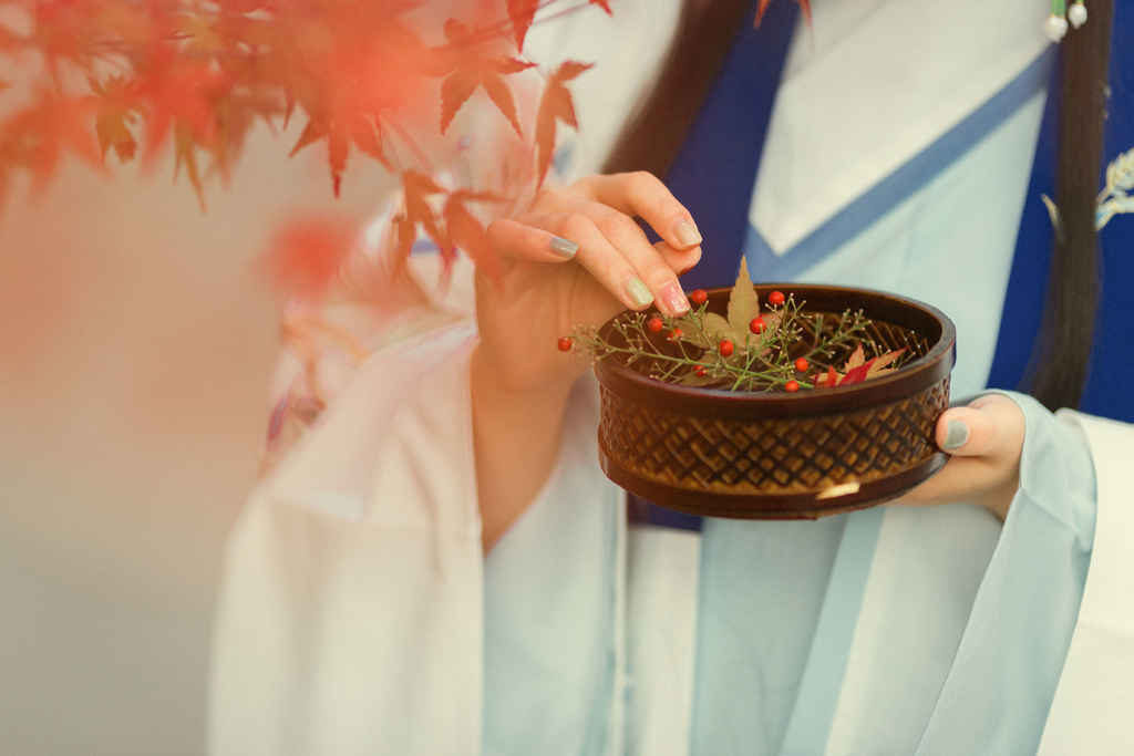 气质典雅高贵的大家闺秀唯美古典大气古风美女写真  第9张