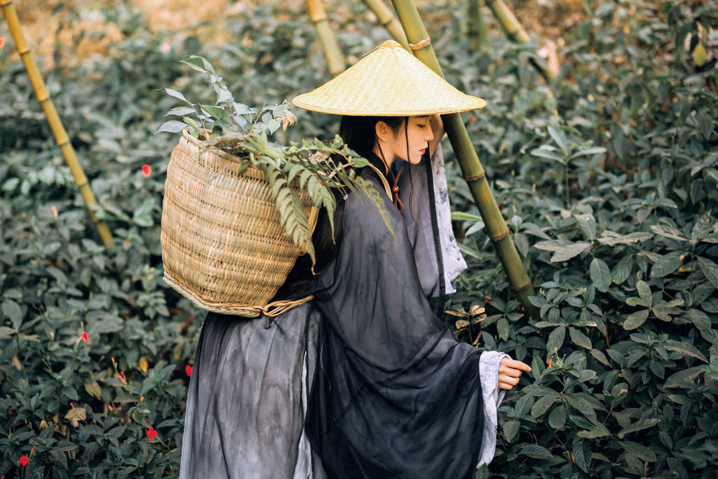 英姿飒爽的禁欲系女道士竹林里冷淡清幽古装摄影图集  第1张