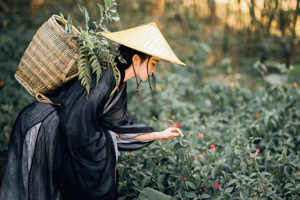 英姿飒爽的禁欲系女道士竹林里冷淡清幽古装摄影图集  第3张