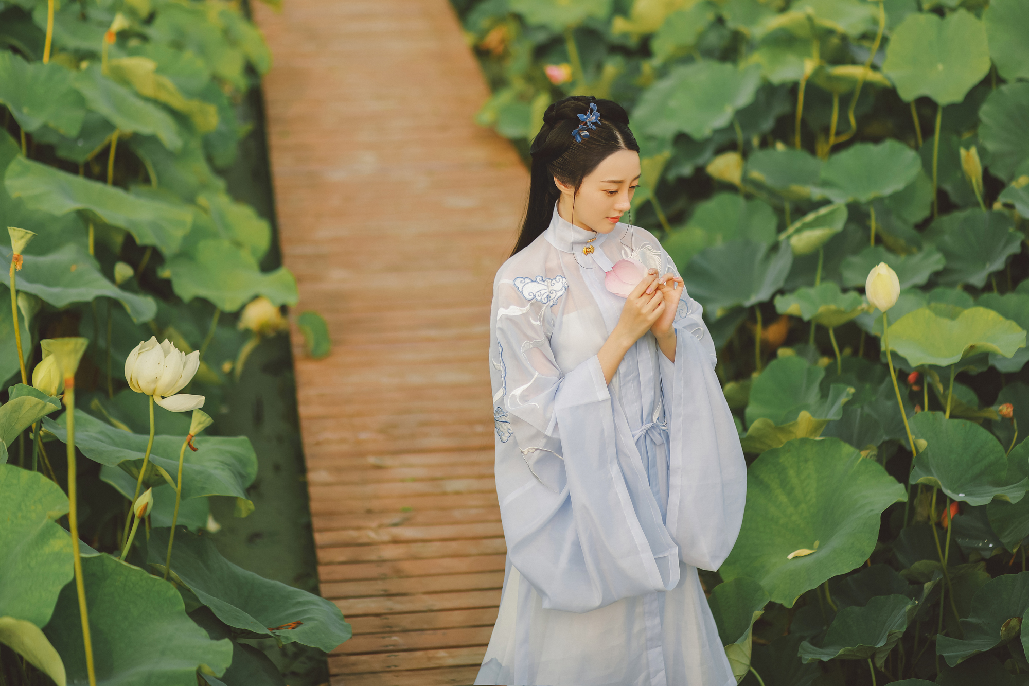 夏日荷塘美女淡色古装摄影图  第2张