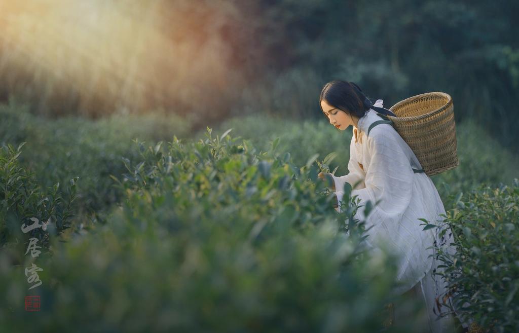 古装采茶女唯美仙气汉服图片  第2张