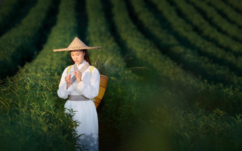 戴斗笠的白衣古装武侠美女写真  第1张