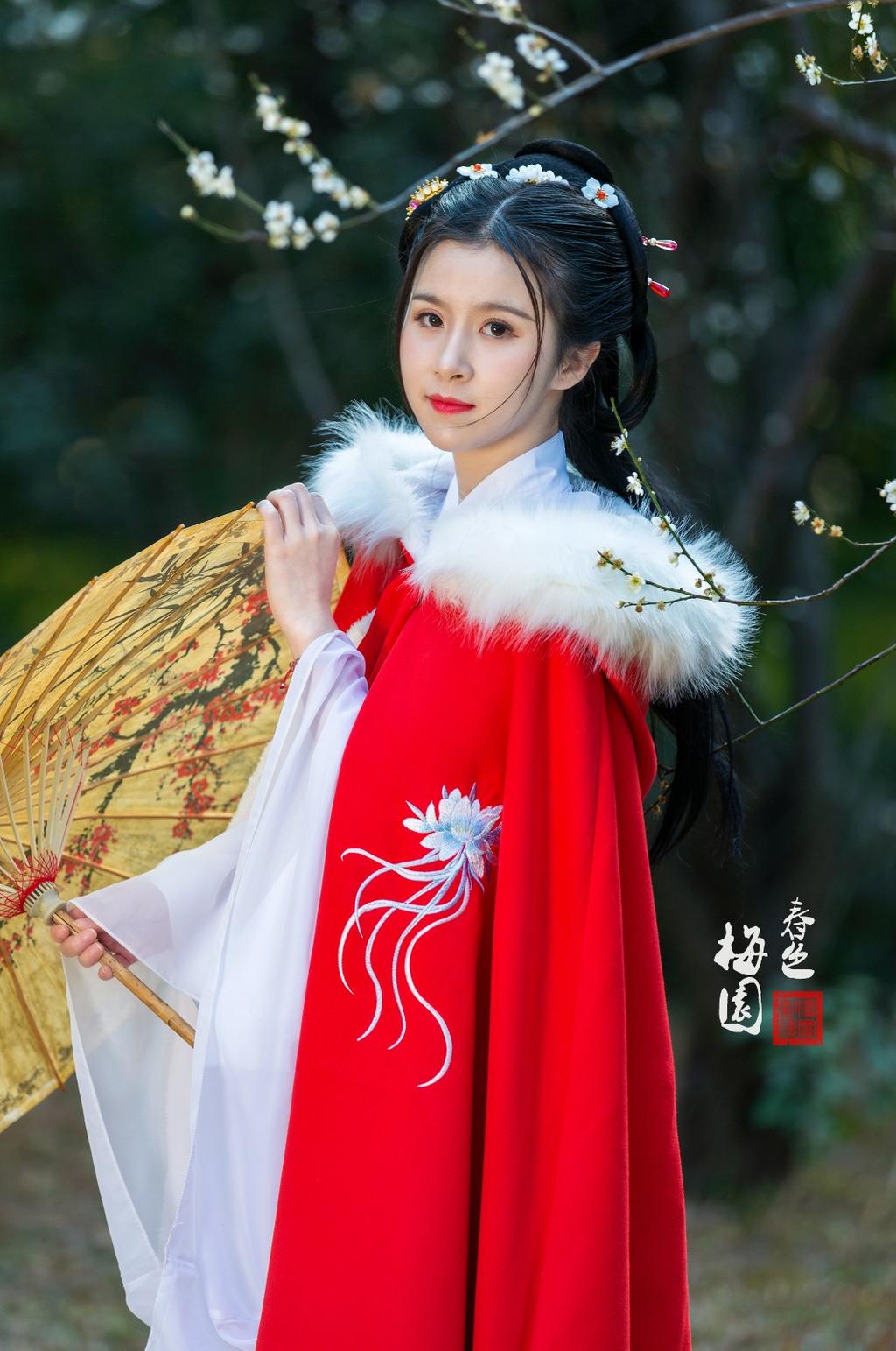 红唇雪肤古装美女高贵典雅美图  第9张