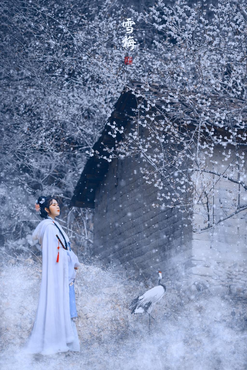 白衣古装美女漫天白雪唯美写真  第6张