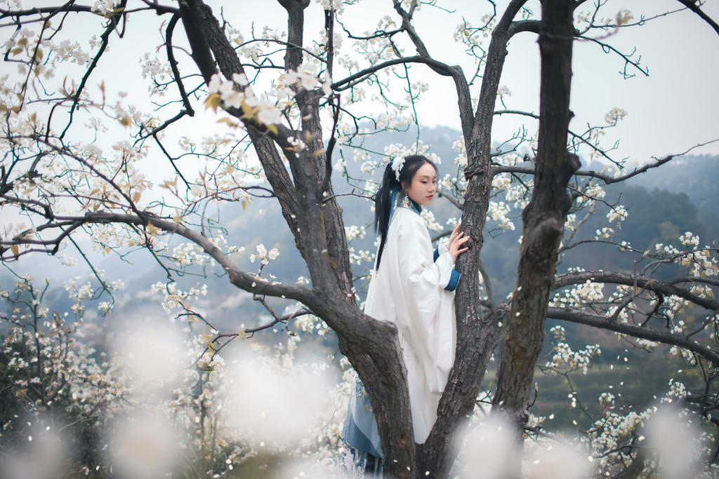 樱花树下汉服美女唯美清新摄影  第2张