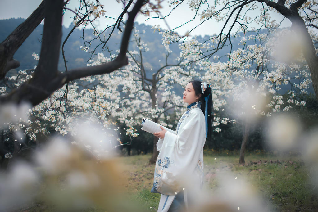 樱花树下汉服美女唯美清新摄影  第5张