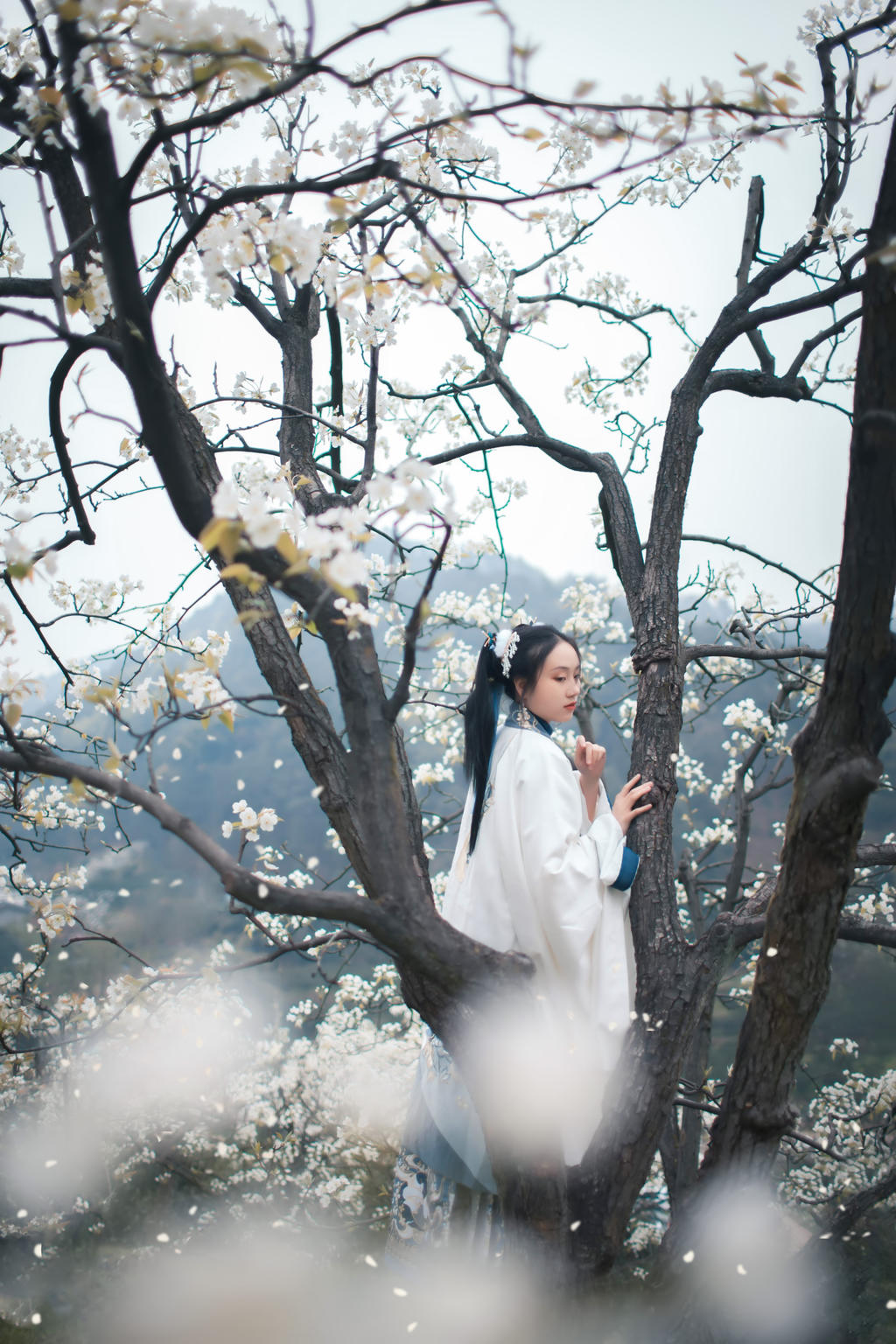 樱花树下汉服美女唯美清新摄影  第10张