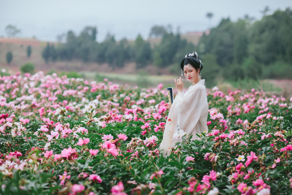 汉服美女置身花海唯美浪漫图片  第4张