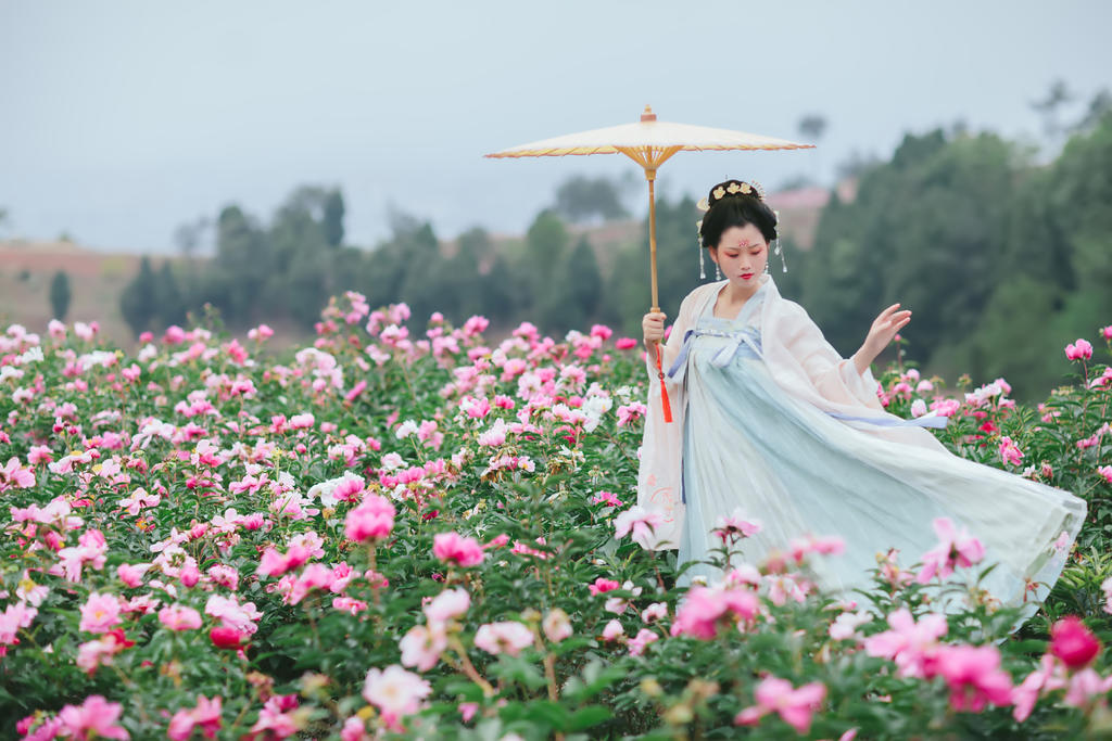 汉服美女置身花海唯美浪漫图片  第5张