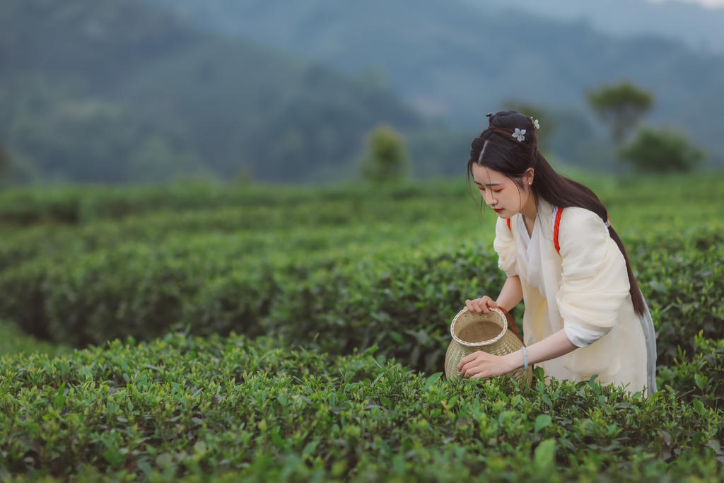 清丽秀雅的采茶女唯美古风摄影  第1张