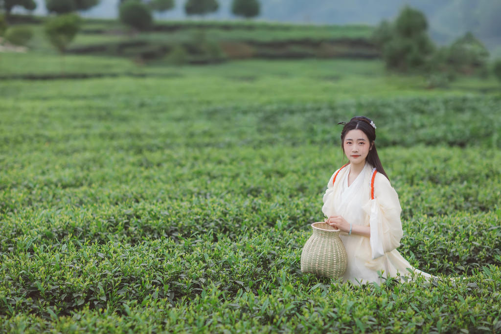 清丽秀雅的采茶女唯美古风摄影  第4张