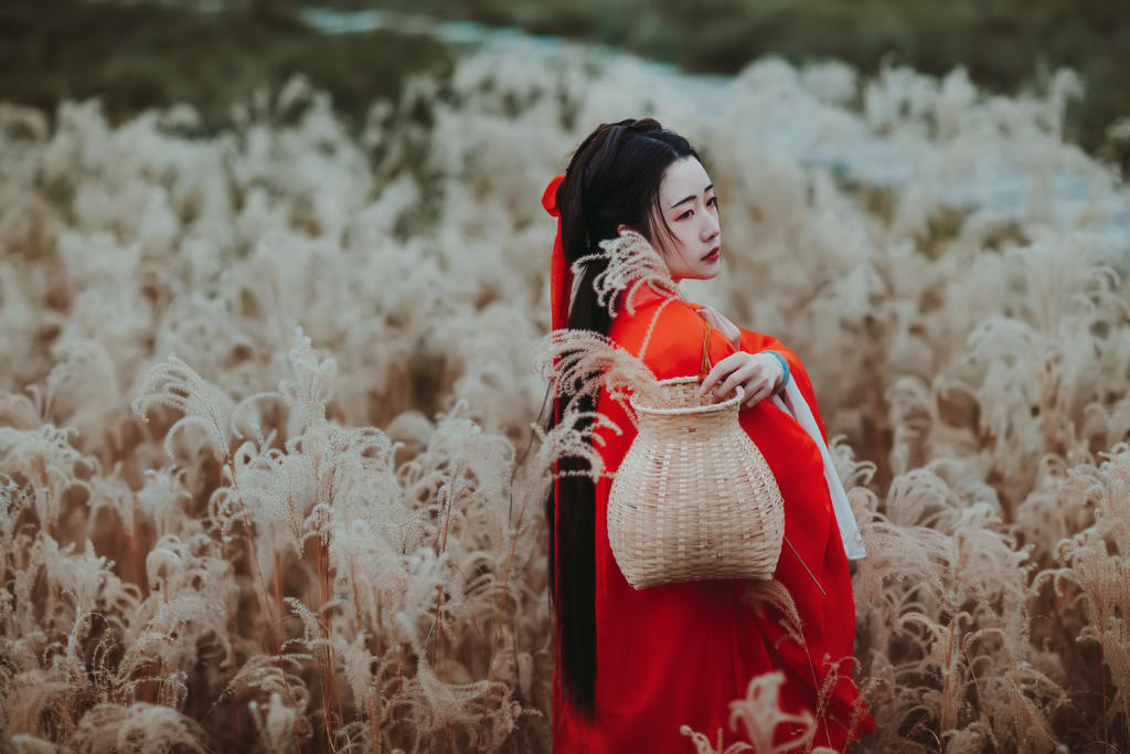 芦苇中的红衣美女美艳动人图片  第7张