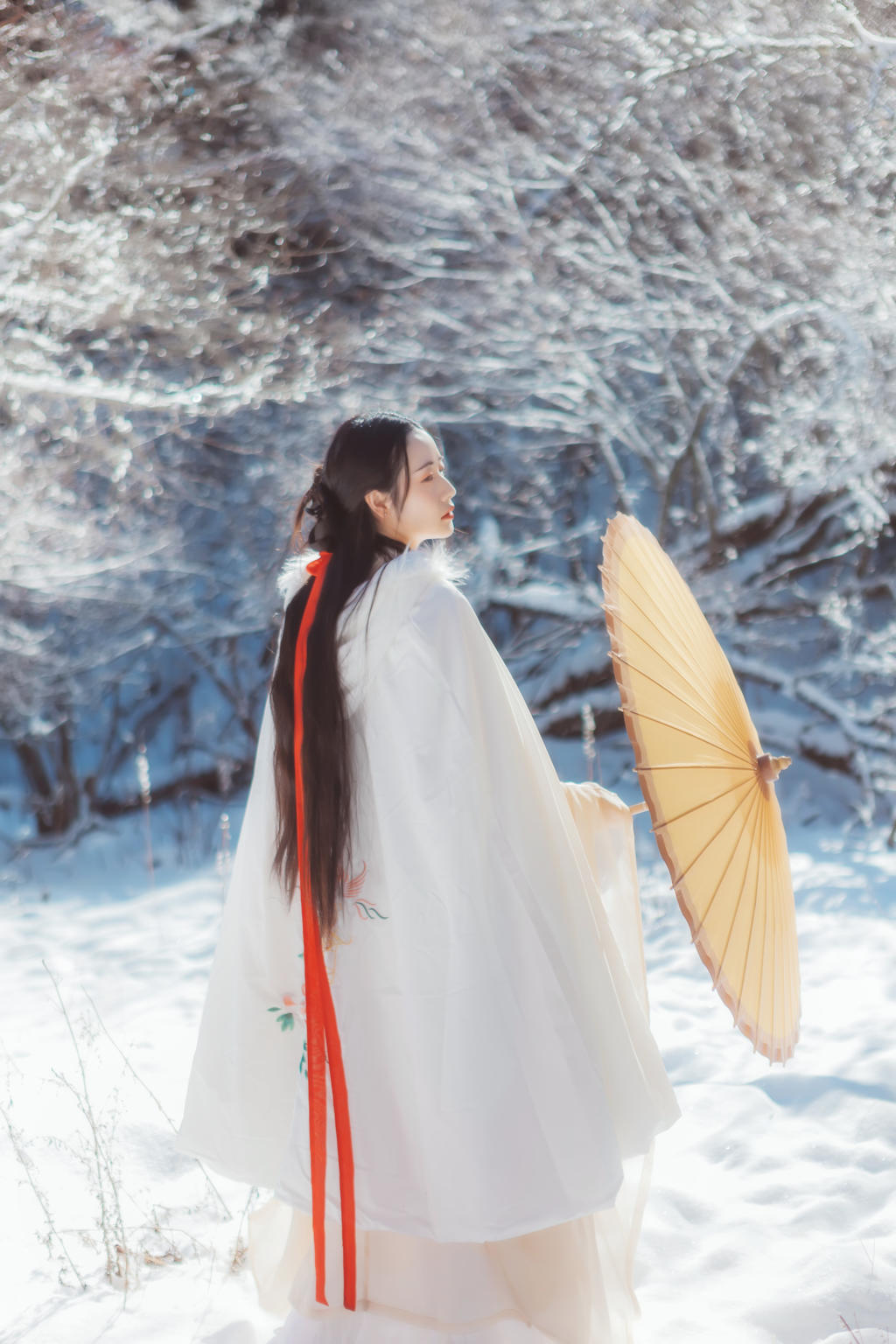 雪地里的汉服美女清新脱俗图片  第4张