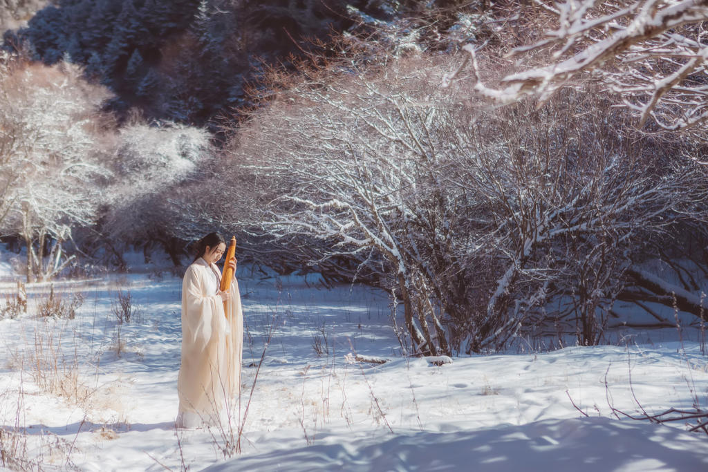 雪地里的汉服美女清新脱俗图片  第5张