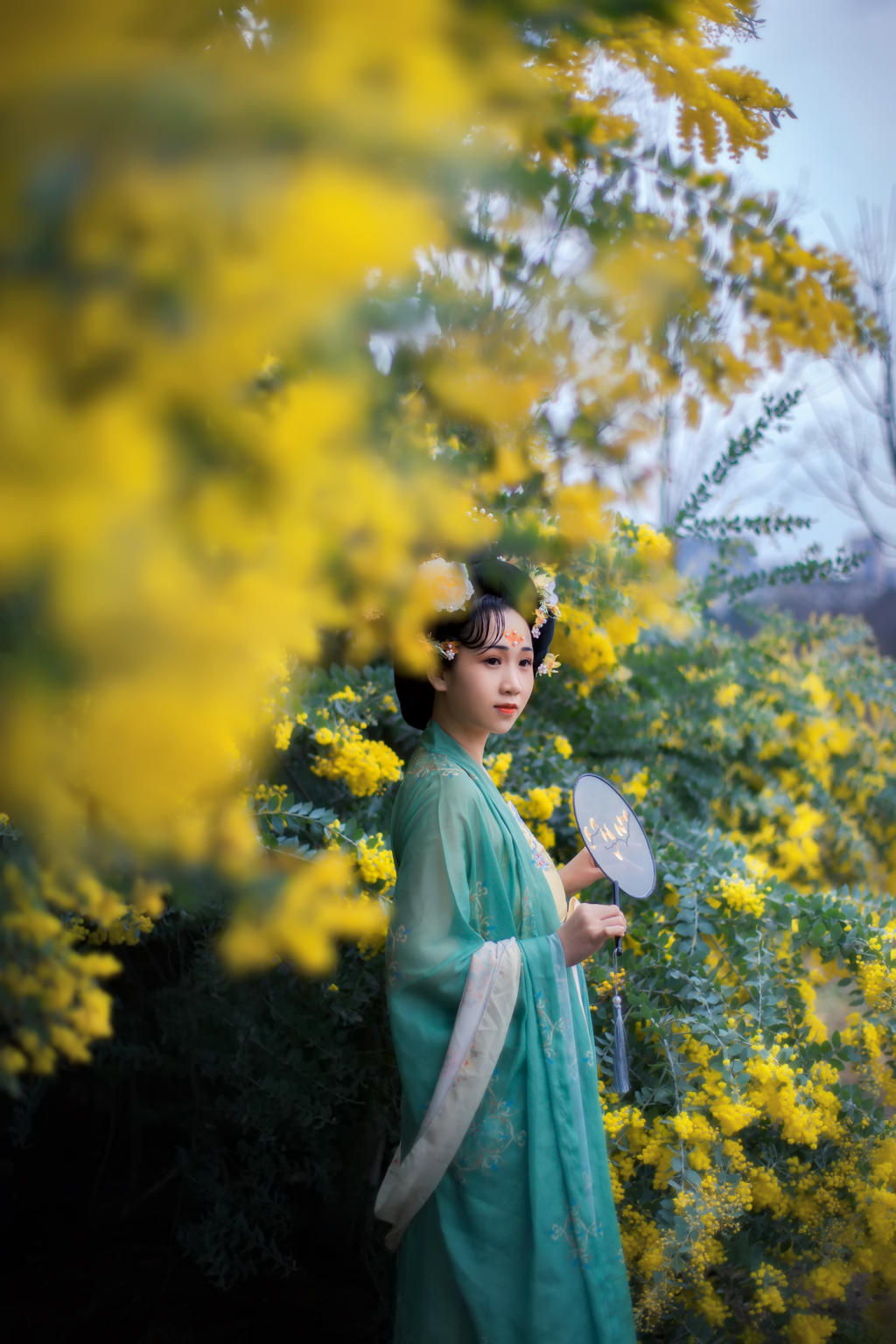 合欢花下汉服美女唯美古风摄影  第4张