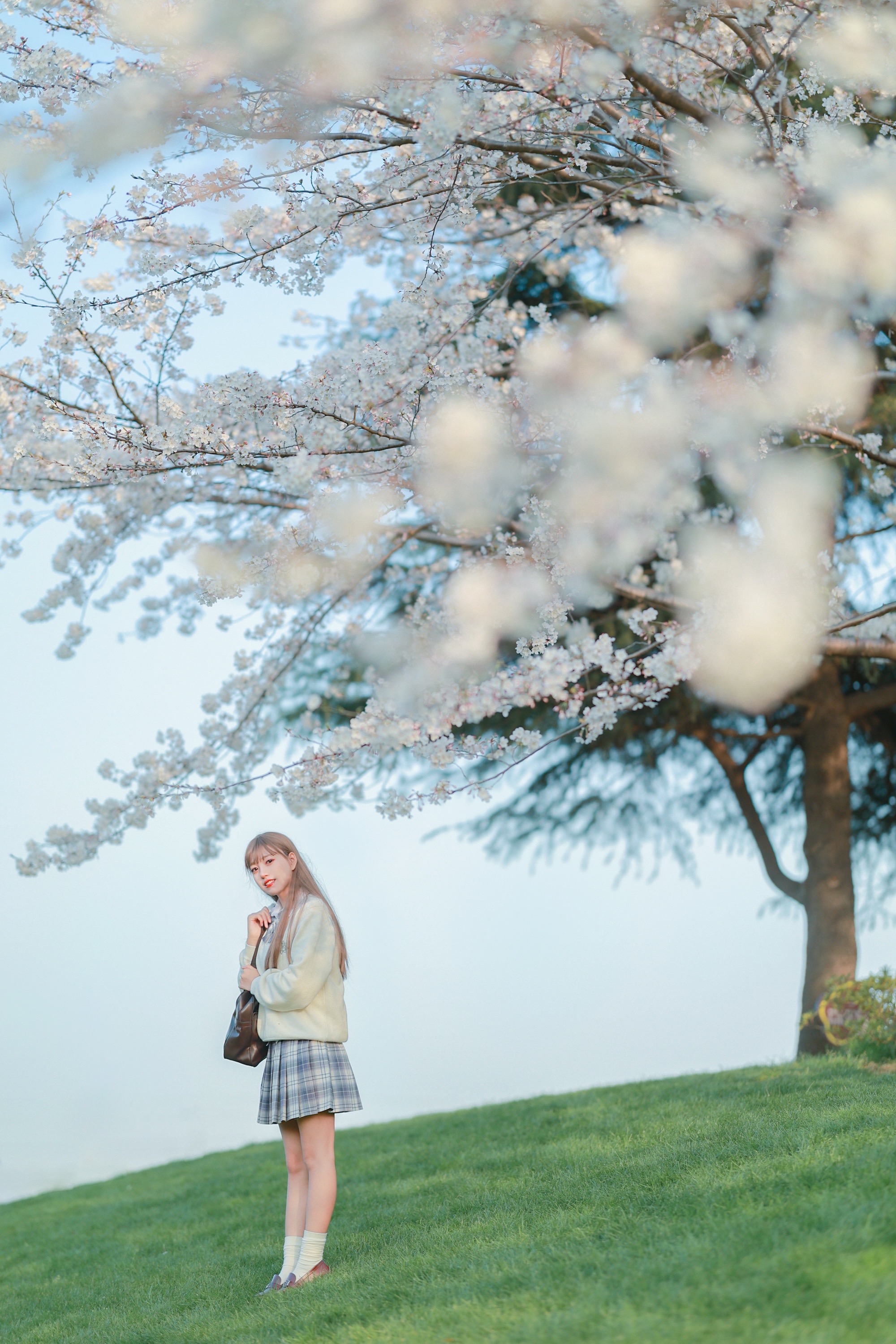 春、桜花、你  第13张