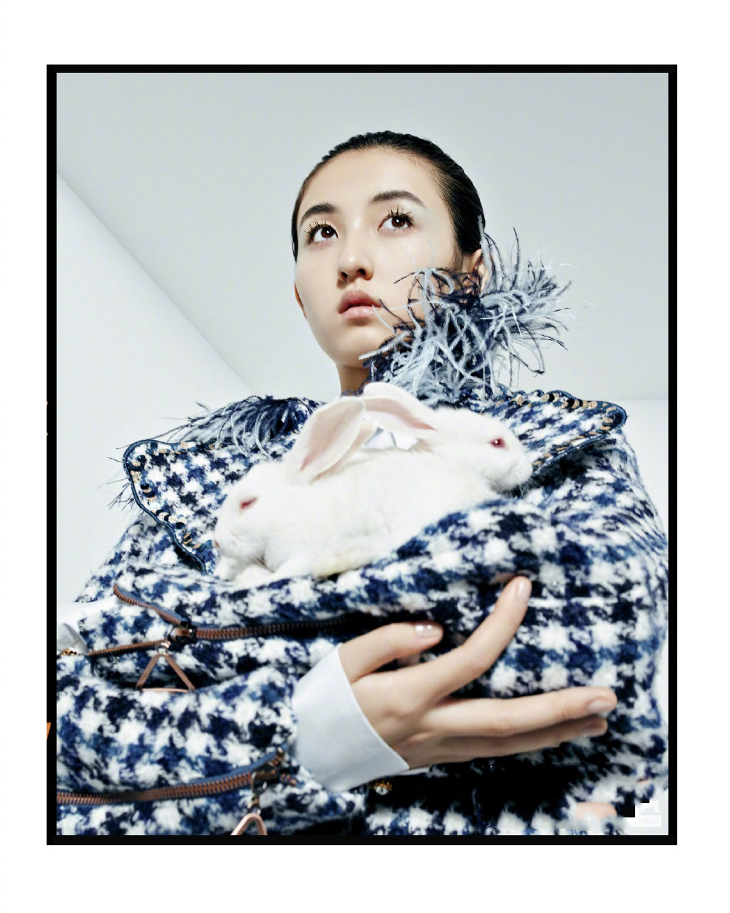 张子枫百变时尚封面大片写真图片  第4张
