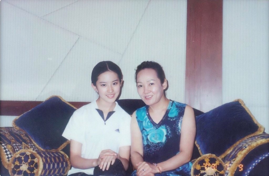 刘亦菲小时候的图片 神仙姐姐从小美到大  第9张