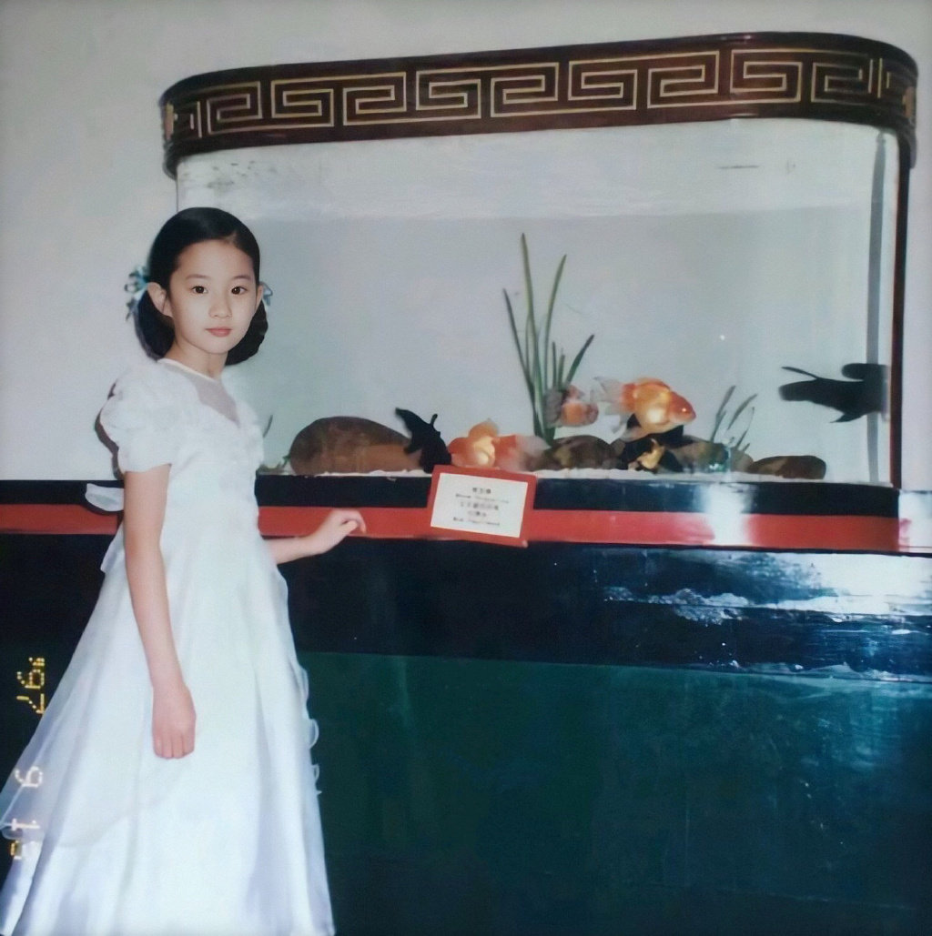 刘亦菲小时候的图片 神仙姐姐从小美到大  第11张