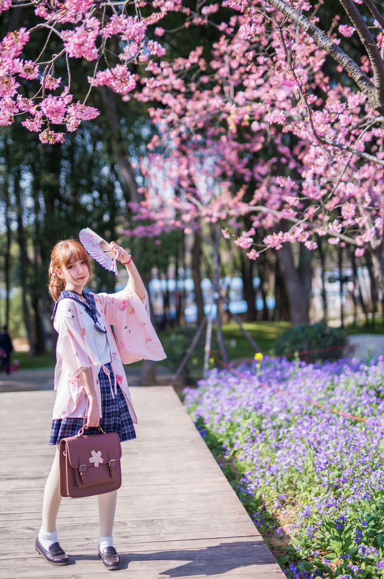 樱花美景佳人女神写真  第3张