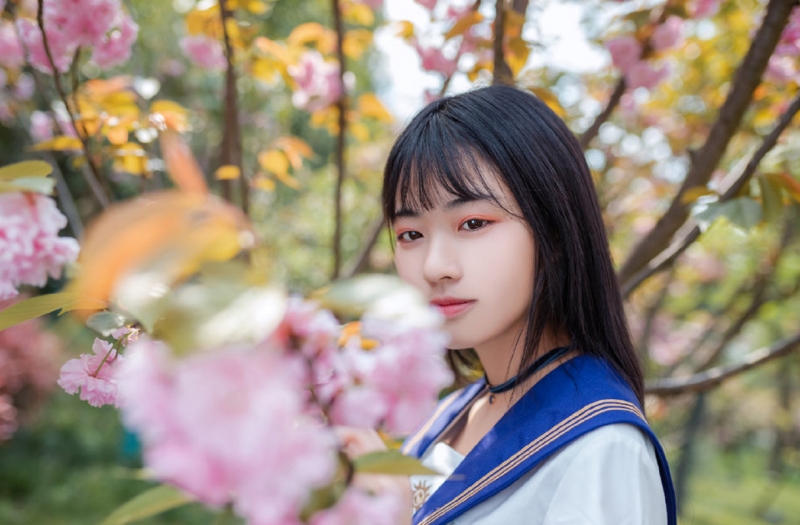 制服美女校花樱花树下唯美写真  第1张