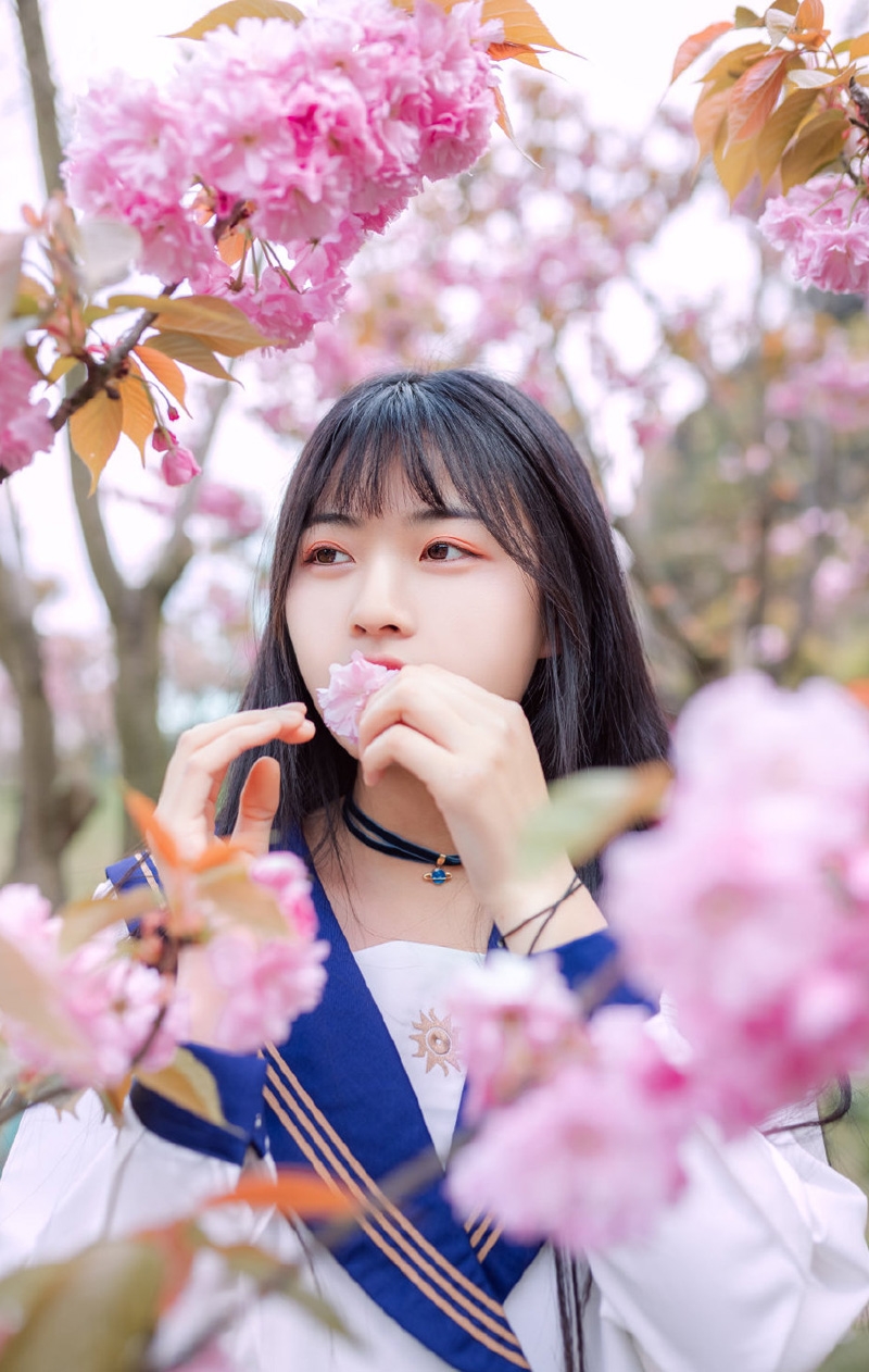 制服美女校花樱花树下唯美写真  第4张