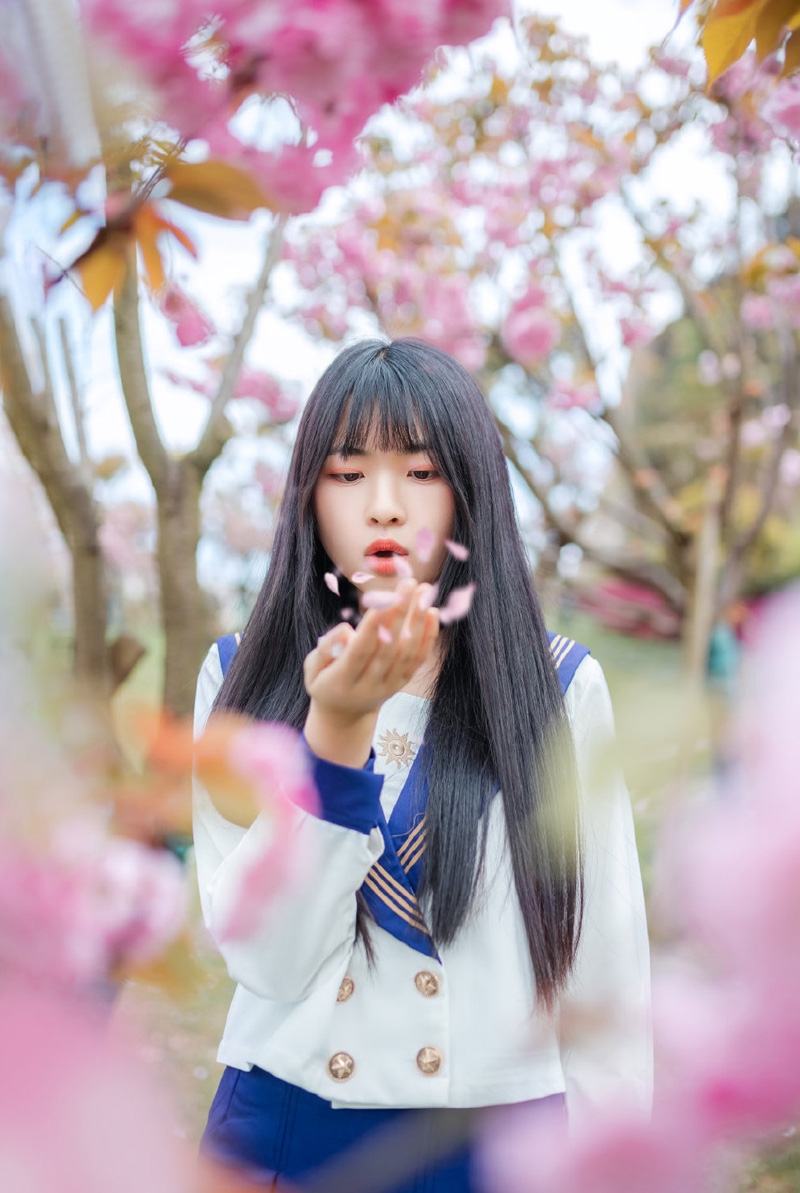 制服美女校花樱花树下唯美写真  第5张
