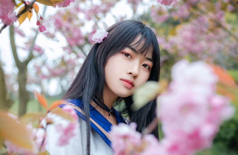 制服美女校花樱花树下唯美写真  第8张