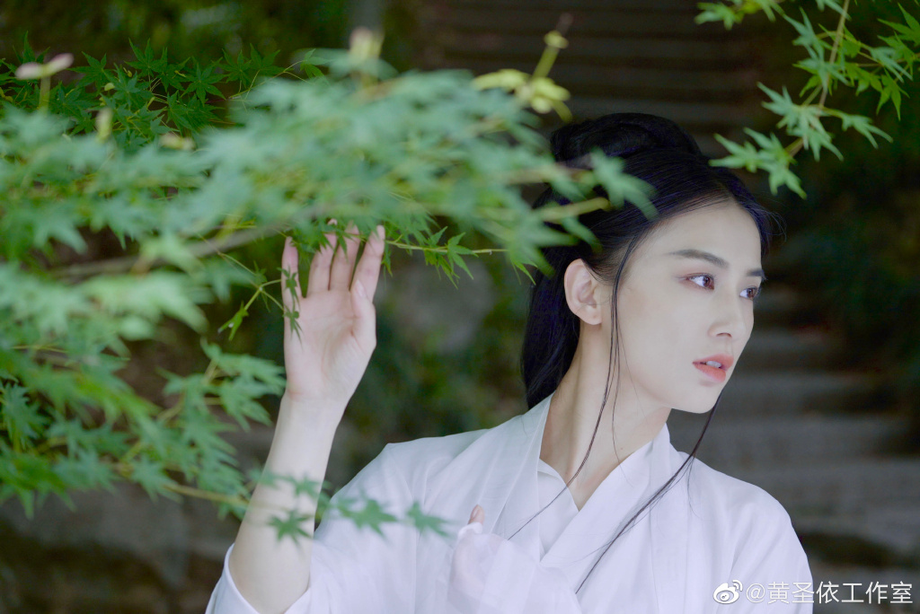 黄圣依古风大片释出 网友直呼"梦回七仙女"  第2张