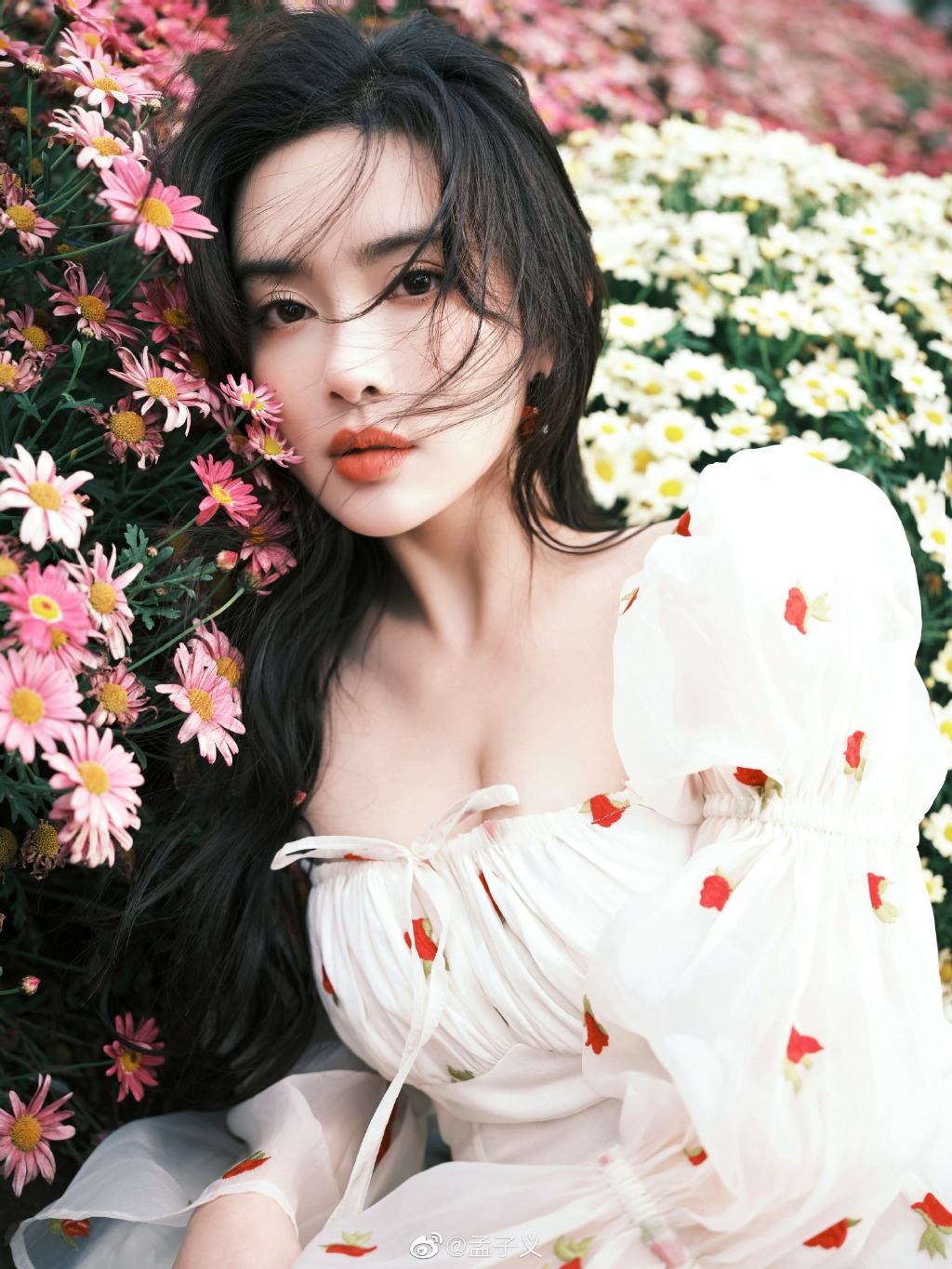 孟子义夏日繁花写真 人花相衬湖光山色正好  第2张