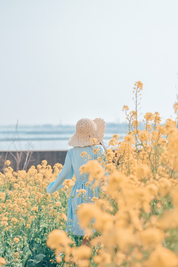 向阳女孩之一  第9张