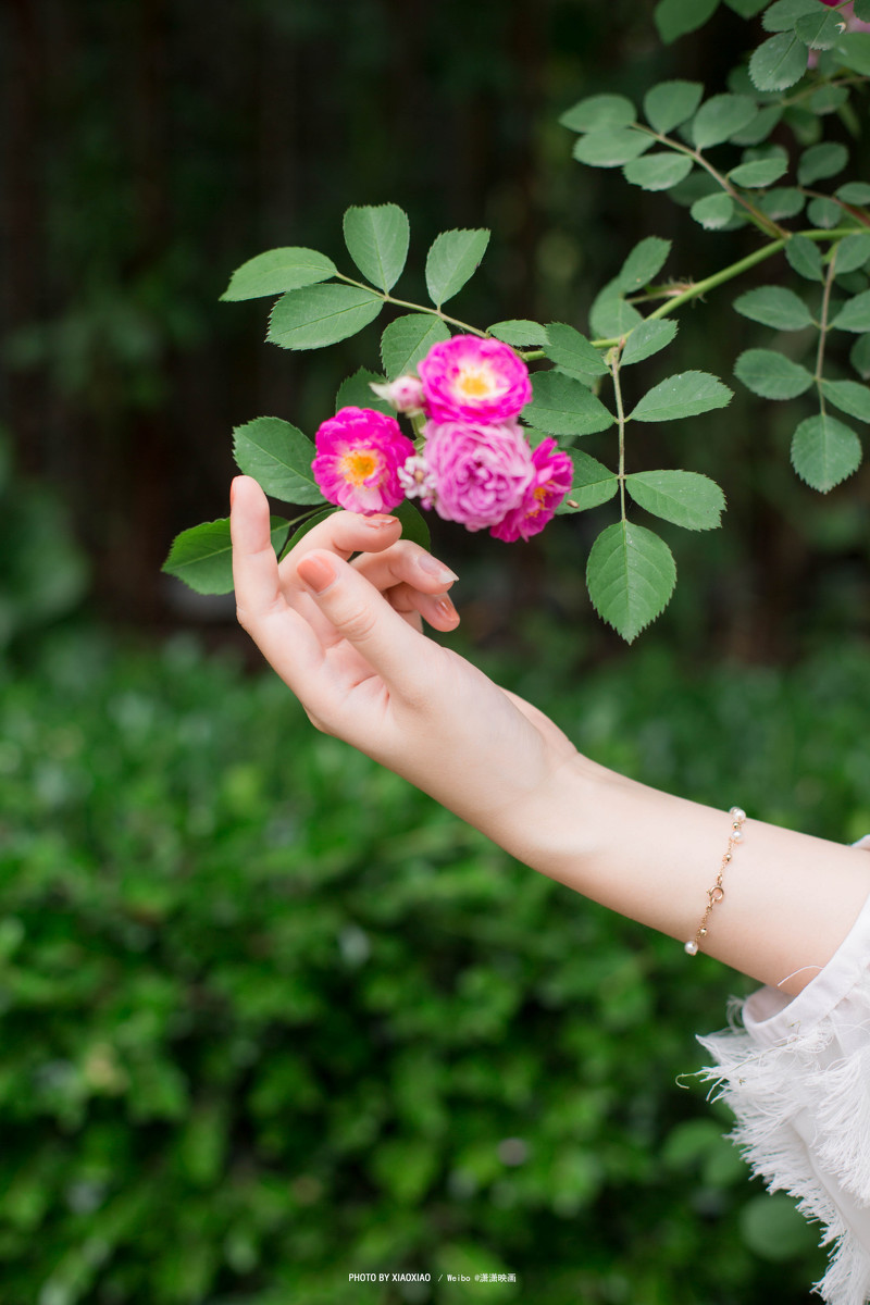 我喜欢我喜欢你的样子  第13张