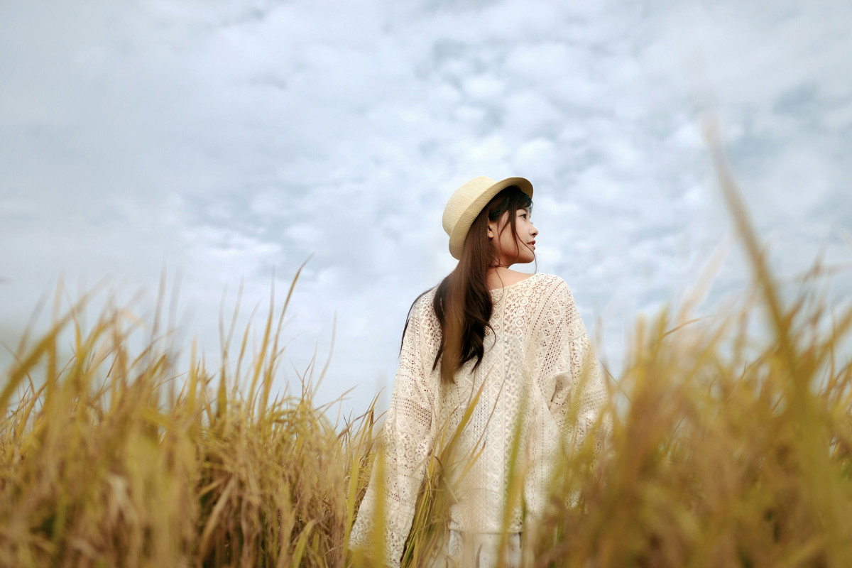 风吹稻浪  第1张