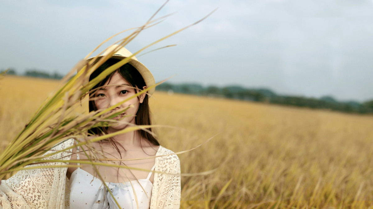 风吹稻浪  第2张