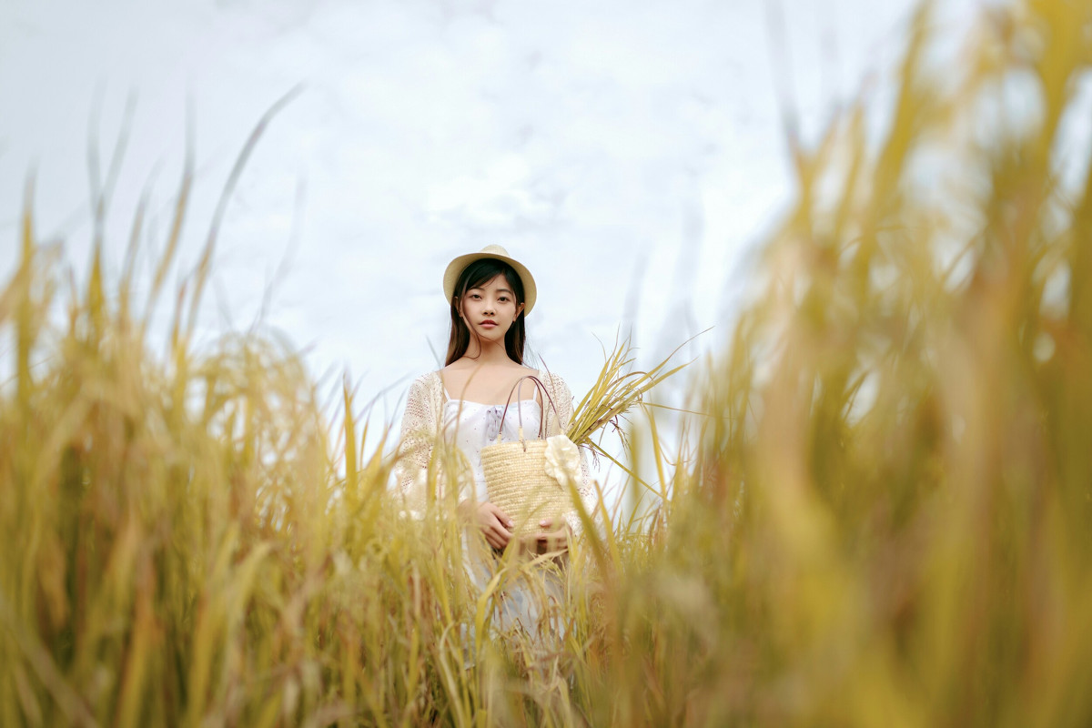 风吹稻浪  第3张