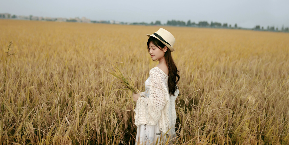 风吹稻浪  第5张