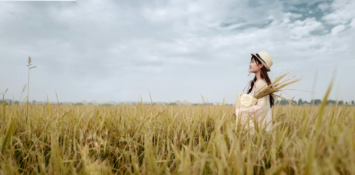 风吹稻浪  第7张