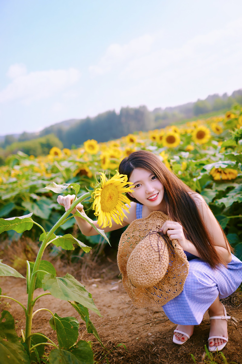又是一年盛夏时  第7张
